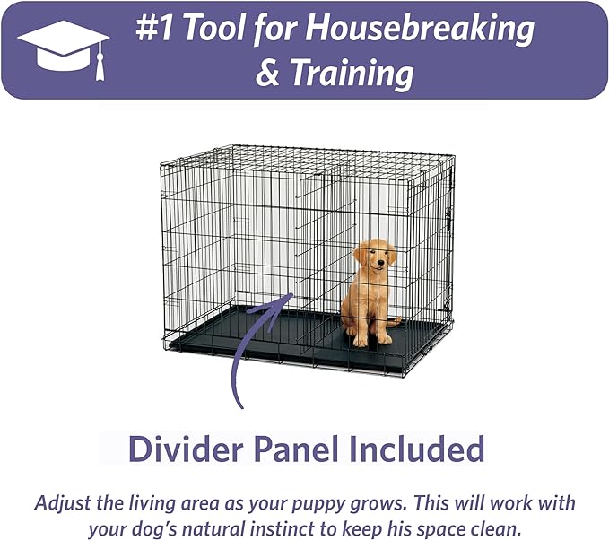 MidWest Homes for Pets 42-Inch iCrate Folding Dog Crate with Divider Panel, Leak-Proof Tray & Secure Latches – Metal Wire Kennel for Large Breeds – Portable, Durable & Easy to Assemble