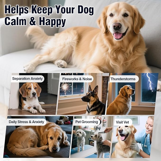 Calming Chews for Dogs 200ct-Chicken Hemp Dog Calming Chews - Anxiety and Stress Relief Treats Melatonin Bites Sleep Aid for Small/Medium/Large Dogs Calm Dog - Separation, Fireworks, Barking, Thunder