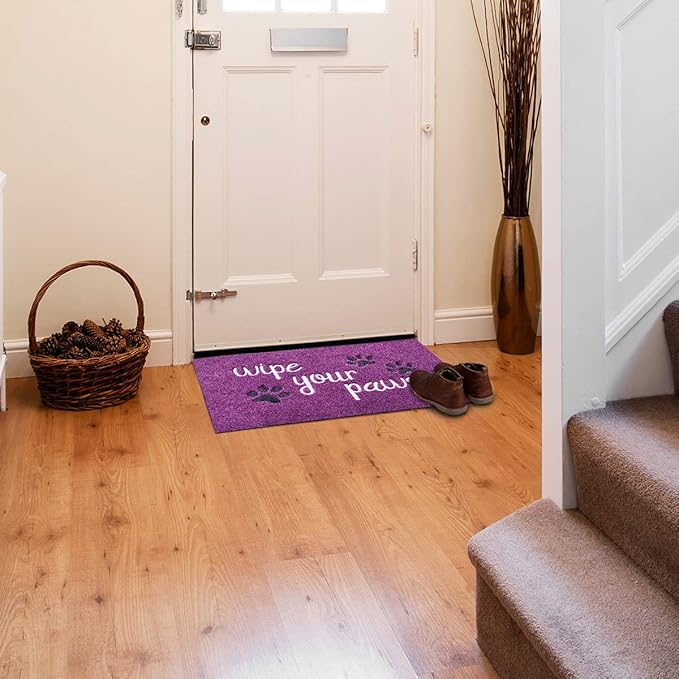 Welcome Door Mats for Home Entrance - Funny Doormats Wipe Your Paws - Non Slip Rubber Mat for Front Door Indoor