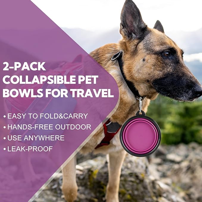 Collapsible Dog Bowl 2 Pack, Dog Water Bowls for Travels, Portable Foldable Pet Bowls Feeding Watering Dish for Parking Walking Camping with 2 Carabiners Clip (12oz, Small, Grey+Purple)