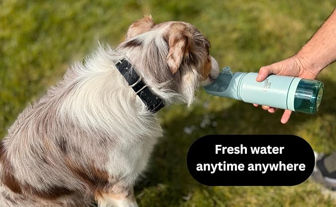 Waggle Bottle Stainless Steel Dog Travel Water Bottle, Vacuum Insulated Portable Dog Water Dispenser, Drink Cup and Snack Container On The Go, Outdoor Walking, Hiking, Travel (Lavender)