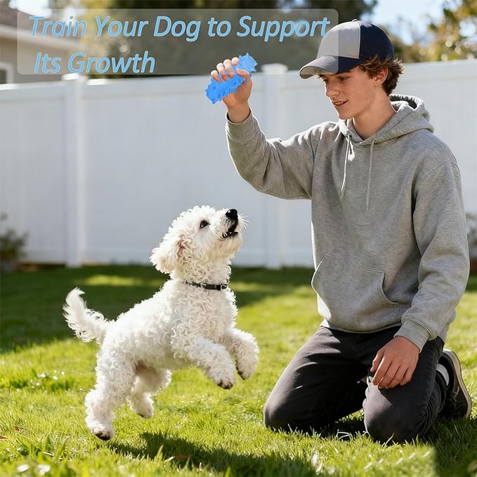 2 Pack Chew Toys for Puppies & Dogs, Dog Chew Toys to Keep Them Busy, Durable Puppy Teething Chew Toys, Tough Puppy Toothbrush Clean Teeth Interactive Toys for Small Medium Breed (Blue)