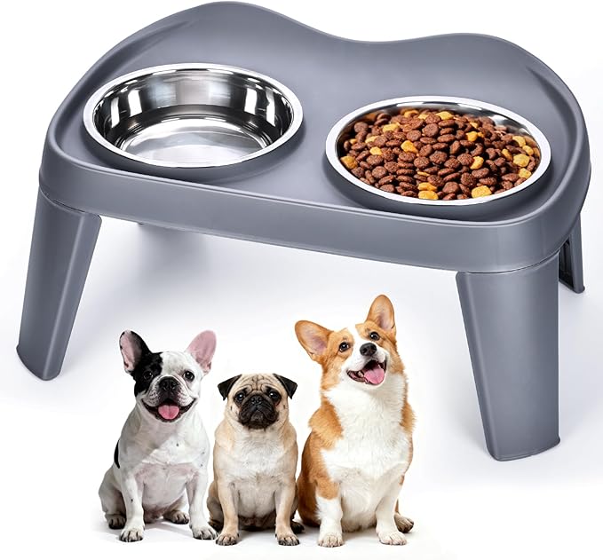 Petizer Small Sized Elevated Dog Bowls, No Spill Pet Feeder, Raised Bowl Stand with 2 Thick 35OZ Stainless Steel Food and Water Bowl Set, Grey (for Small/Medium Dogs)
