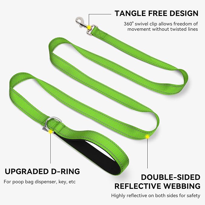 Joytale Dog Leash, 4 FT Double-Sided Reflective, Padded Handle Nylon Heavy Duty Leashes for Small Dogs Walking, Green