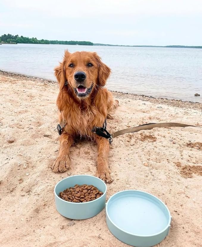 Barkin’ Trails Travel Dog Bowls, Portable Outdoor Water, BPA-Free Water Bowl Set, Food Grade Plastic Dog Travel Bowl, Dog Camping Essentials, Travel Container