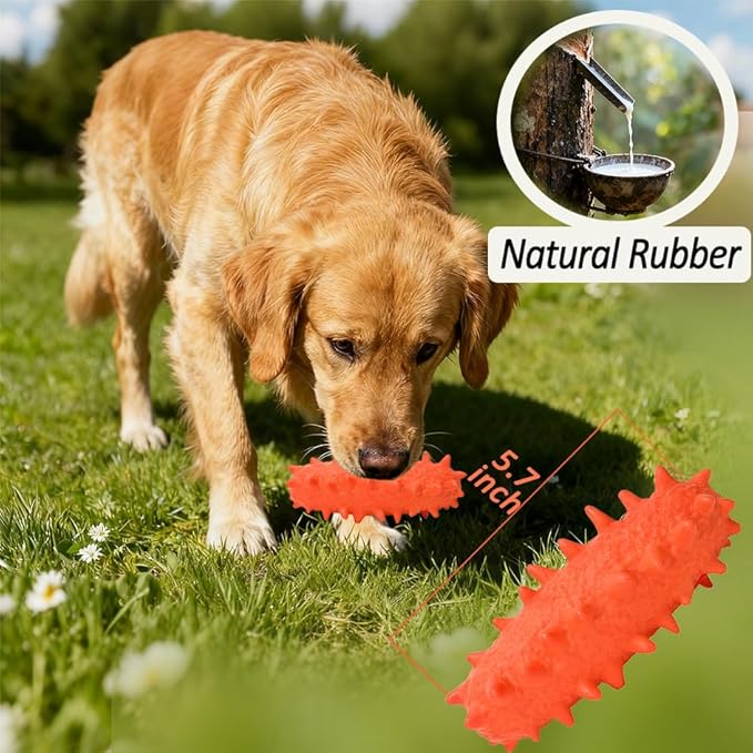 2 Pack Chew Toys for Puppies & Dogs, Dog Chew Toys to Keep Them Busy, Durable Puppy Teething Chew Toys, Tough Puppy Toothbrush Clean Teeth Interactive Toys for Small Medium Breed (Orange)