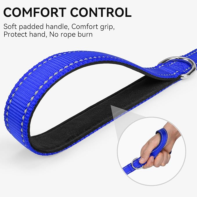 Joytale Dog Leash, 5 FT Double-Sided Reflective, Padded Handle Nylon Heavy Duty Leashes for Small Dogs Walking, Navy Blue