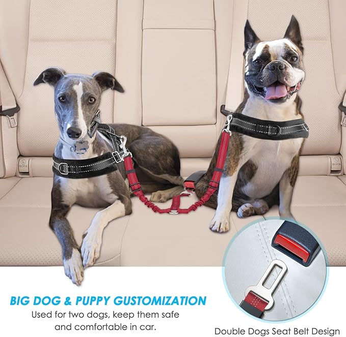 SlowTon Dog Seat Belt, Double Dog Seatbelt Adjustable Vehicle Safety Leash with Elastic Bungee Buffer, Reflective No Tangle Y Shape Two Dog Harness Seat Belt Splitter for Pets Car Trip (Red, M)