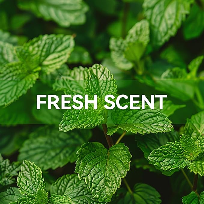 MYARO 12 Packs Eucalyptus Mint Scented Sachets for Drawer and Closet, Long-Lasting Closet Sachet Bags Drawer Deodorizers Fresh Scents, Home Fragrance Air Freshener