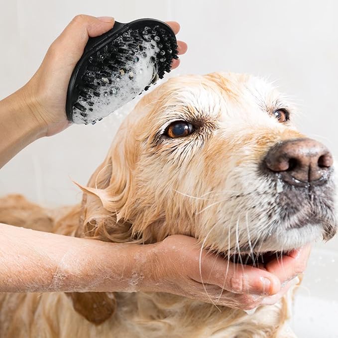 PETIMP STORE Dog Brush Kit for Grooming Short & Long Haired Dogs & Cats, 4-in-1 Pet Grooming Set with Self-Cleaning Slicker Brush, Deshedding Tool, Shampoo Bath Comb, Massge Comb (Pink Black)