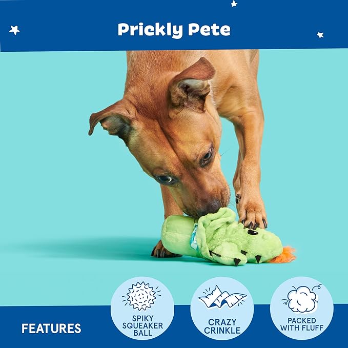 Barkbox 2 in 1 Interactive Plush Dog Toy - Rip and Reveal Toy for Dogs and Puppies - Stimulating Squeaky Pet Toys | Prickly Pete (Small)
