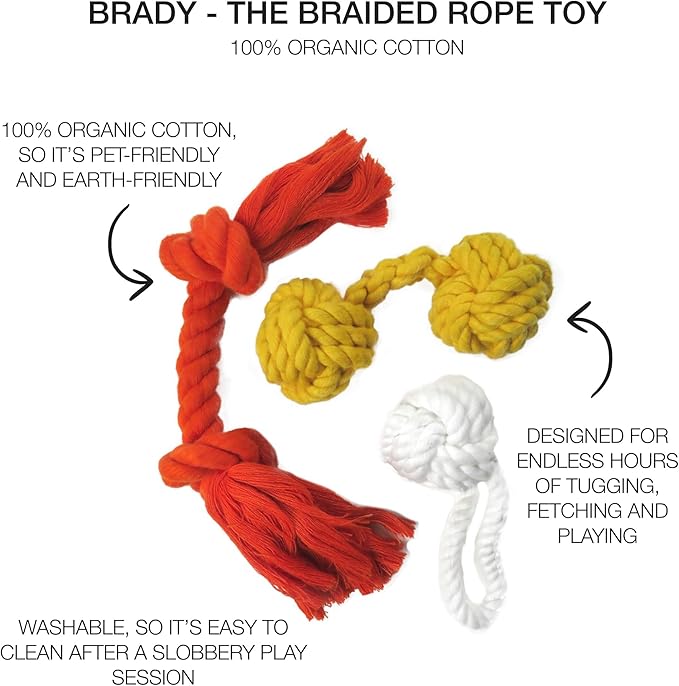 Pet Passion Brady The Rope Tug Toy 3-Pack Organic Cotton Dog Rope Pull Toys for All Pet Breeds, Halloween, One Size
