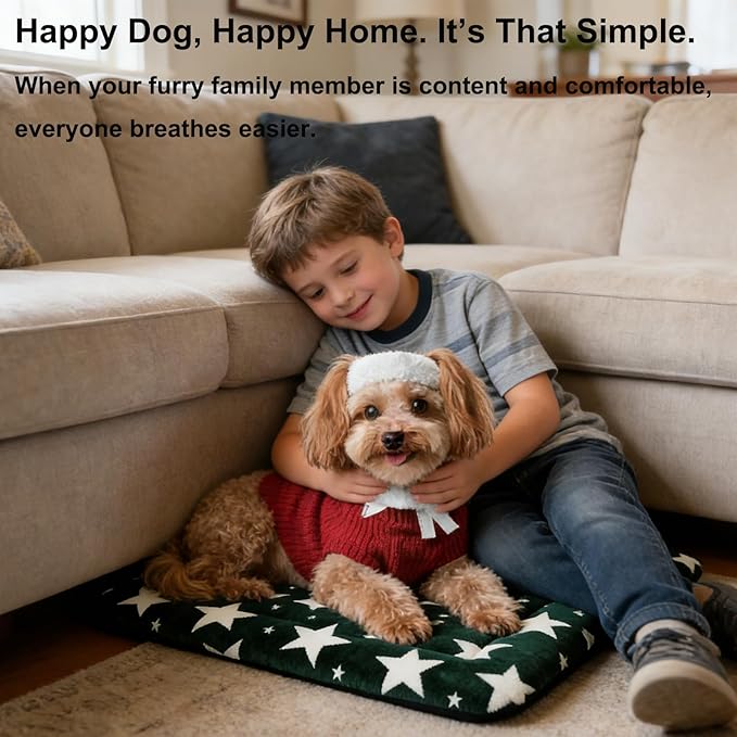 Fogkiss Dog Bed Mat, Reversible Dog Crate Pad with Washable Kennel Mat and Soft Foam, Pet Bed for Dogs & Cats, for Crates Carriers & Travel (Big&Small Stars Green, 24" L*18" W*1.5" Th)