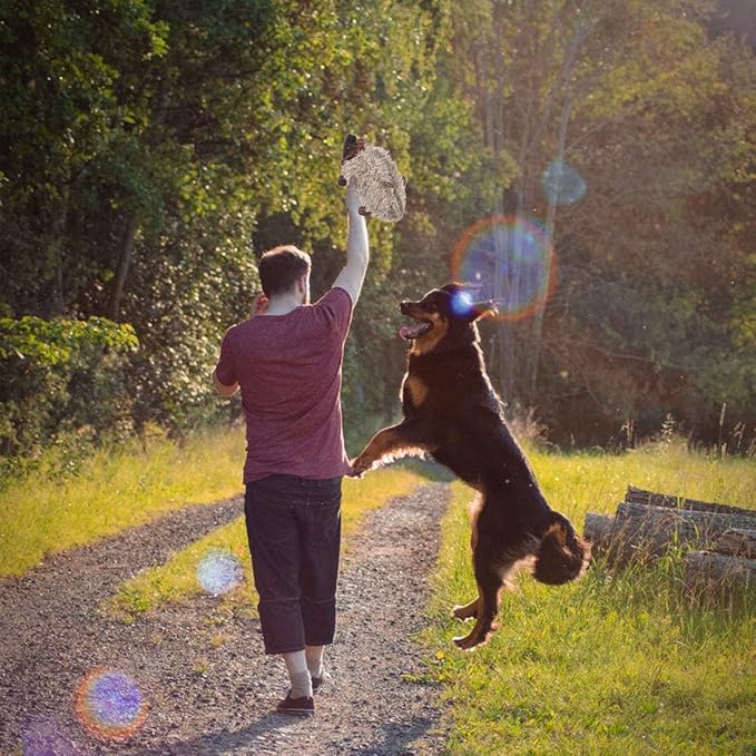 LEGEND SANDY Dog Squeaky Toys for Small Doggies, Puppy Toys for Teething Cute Small Breeds Toys Stuffed Plush Bundle Natural Cotton Puppy Rope, Dog Chew for Puppies Pet for Pet (Hedgehog)