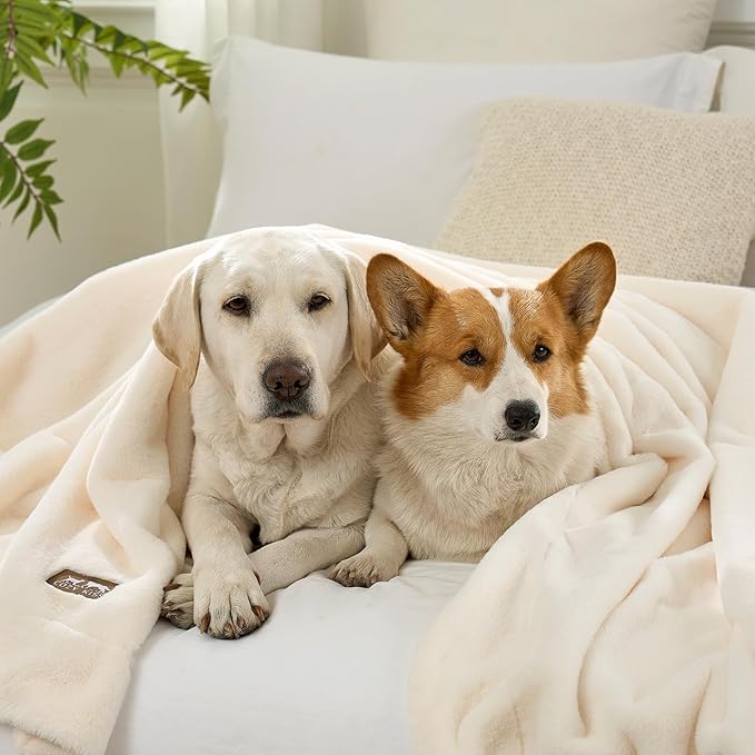 COZY KISS Faux Fur Throw Blanket Twin, Ultra Soft Waterproof Pet Blanket, Cozy Warm Plush Blanket for Bed Sofa Bedroom Living Room, Liquid Pee Proof for Large Dog or Cat, 60x80 inch, Beige