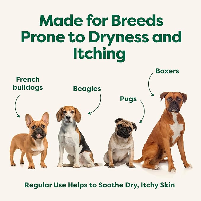 Earth Rated 3-in-1 Soothing Dog Shampoo and Conditioner, Deodorizing Oatmeal Shampoos for Dogs and Puppies, Great for Smelly Pets, White Tea and Basil Scent, 16 oz