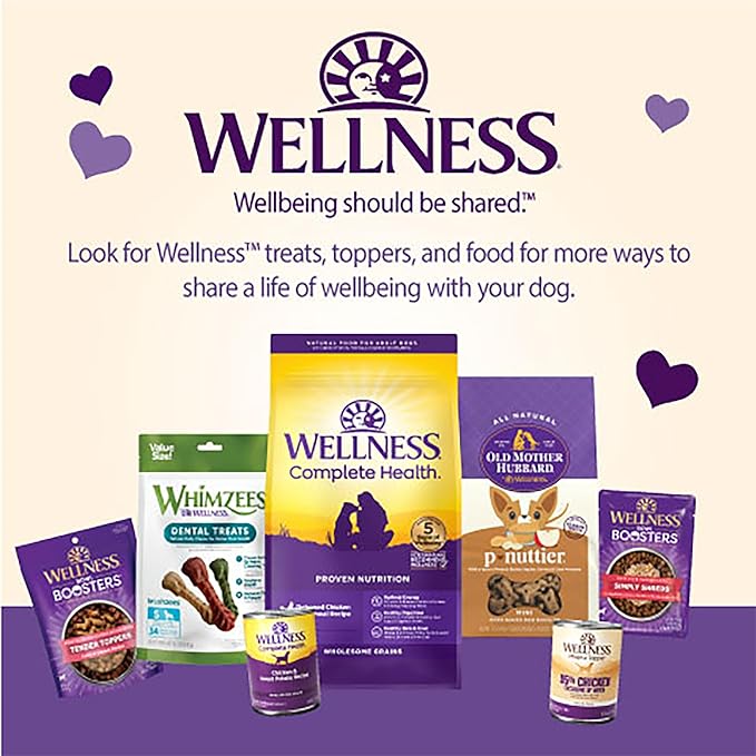 Wellness CORE Puppy Treats, Natural, Training Treat, Grain Free, Brainiac Beef & Turkey (6 Ounce Bag)