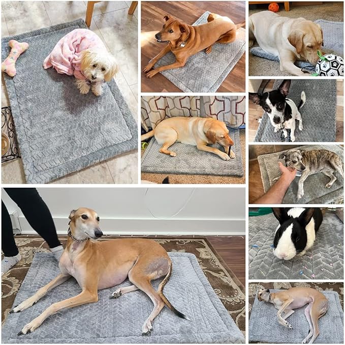BEAUTYZOO Dog Bed Crate Pad 42 x 28 inch, Washable Dog Crate Mat for X-Large Sized Dogs, Anti-Slip Pet Crate Bed Kennel Pad, Durable Cozy Puppy Sleeping Mat Rectangle Mattress, Grey
