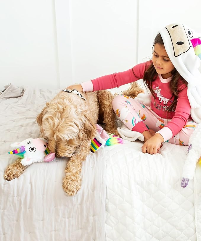 Lazy One Squeaky Dog Toy, Soft Crinkle Toy for Dogs, Durable Fabric for Small, Medium, and Large Breeds