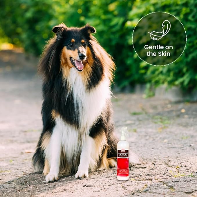 Best Shot Pet Scentament Spa Botanical Body Splash, Fresh Apple Lily, 8 oz (ZX8800 08 02)