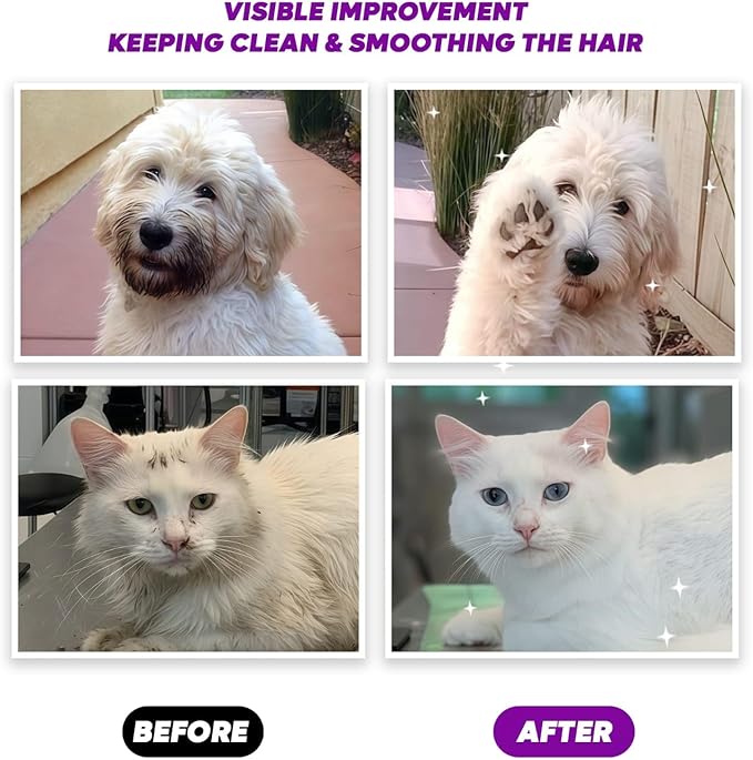 Almighty – Premium Pet Grooming Glove Wipes for Dogs & Cats | 20 Count | Instant Bath Cleaning Glove | Ultra-Thick, Hydrating & Nourishing | Deodorizing, Hypoallergenic, No-Rinse – Lavender Scent
