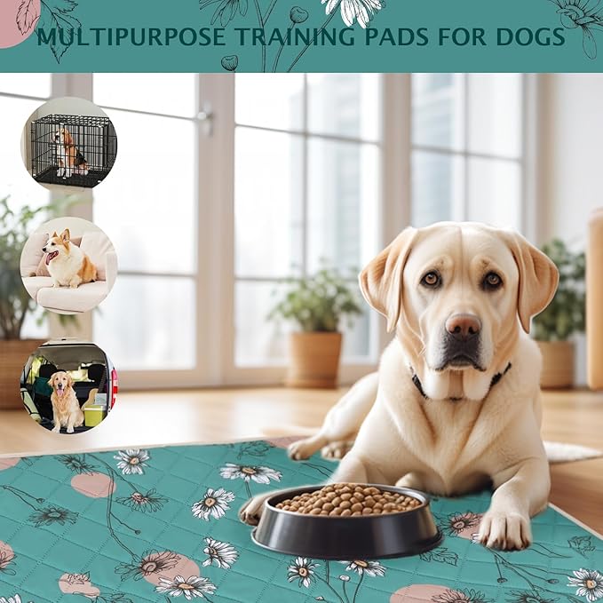 IEUUMLER Washable Pee Pads for Dogs, 2 Pack Non-Slip & Waterproof Pack Whelping Pad, Reusable Washable Puppy Potty Training Pad with Fast Absorbent for Playpen EU007 (Teal Daisy, 24"X18"-2pcs)
