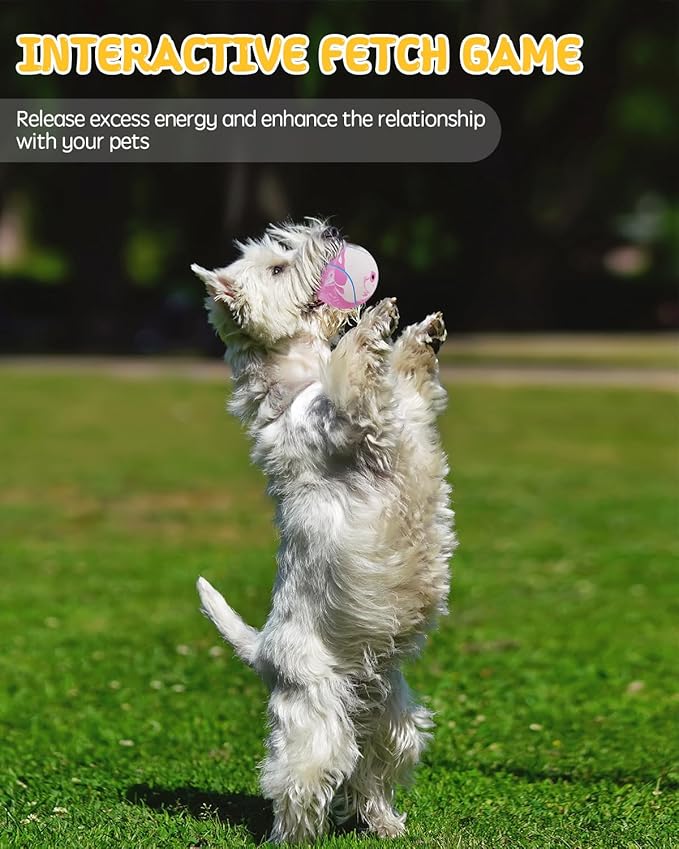 SCHITEC Dog Squeaky Toy Balls, Interactive Tennis Ball for Puppies Small Pet Medium Breed Dogs, Latex Rubber Puppy Fetch Play Toys