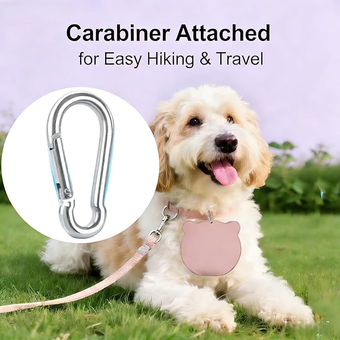 Collapsible Dog Bowls, 2-in-1 Silicone Pet Food and Water Bowl with Carabiner - Portable Double Compartment Travel Dish for Dogs, Ideal for Camping, Hiking, Car Rides, Puppy Essentials (Gray)