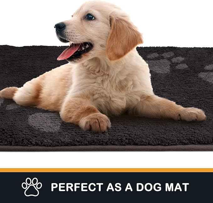 PURRUGS Dirt Trapping Door Mat 34" x 59", Non-Skid/Slip Machine Washable Microfiber Entrance Rug, Shoes Scraper, Dog Doormat, Super Absorbent Floor Mat for Muddy Wet Shoes and Paws, Charcoal