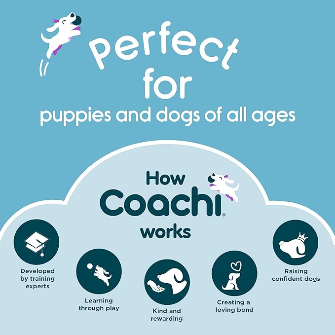 Coachi Tuggi Hide - Interactive Dog Toy for Tug of War & Play. Strong & Comfortable, Stretchy Bungee Handle, Reward Training, Interrupting Biting & Chewing. Ideal for Agility and Suitable for Puppies