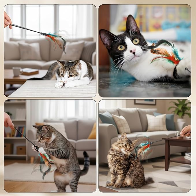 Leitee 50 Pcs Cat Wand Toy Feather Stick Cat Toy Feather Toys and Teaser Wand Bulk Interactive Stick for Indoor