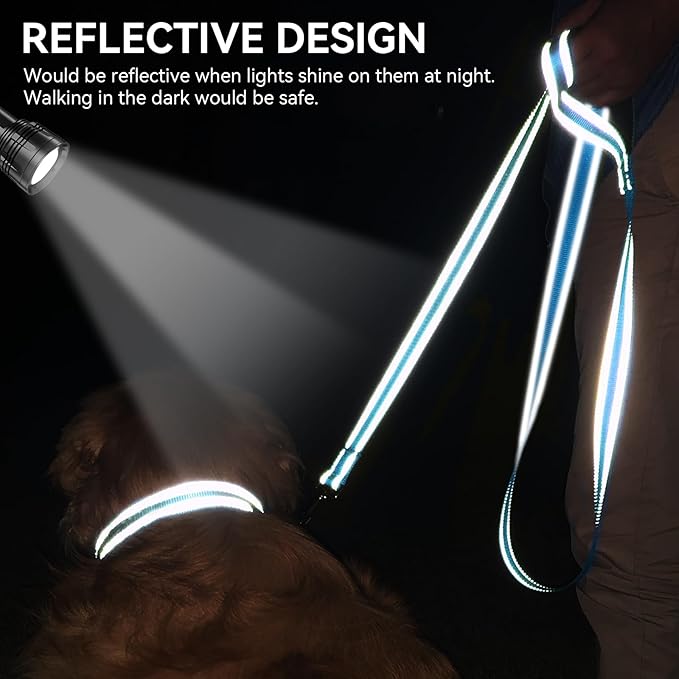 Joytale Dog Leash, 6 FT Double-Sided Reflective, Padded Handle Nylon Heavy Duty Leashes for Medium & Large Dogs Walking, SkyBlue