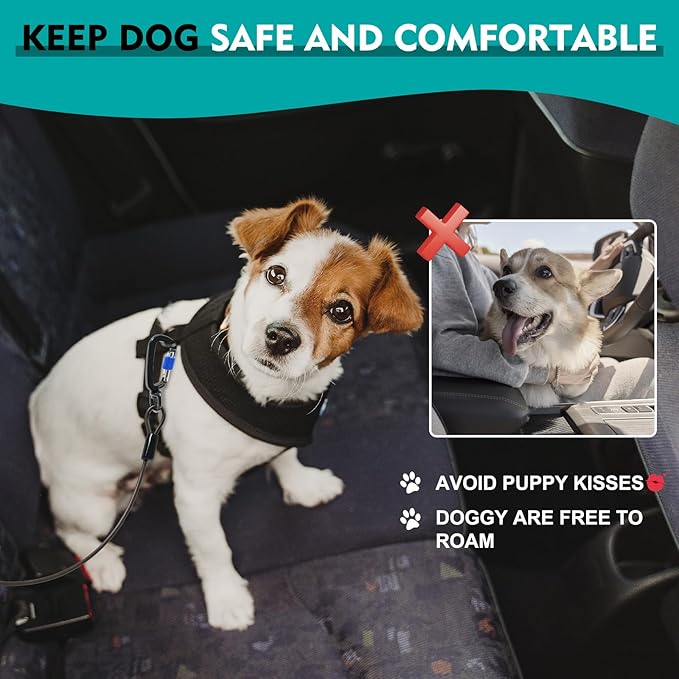 Chew Proof Dog Seat Belt for Car, 24 inch Black Dog Car Harness with Latch Bar Attachment and Aviation Aluminum Carabiner Up to 1000 lbs, Secure Dog Seatbelt Leash 2 Pack