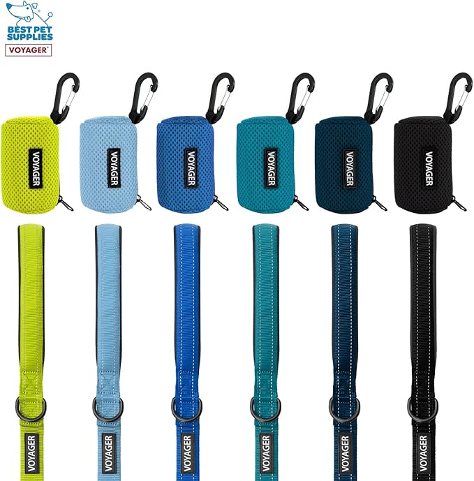 Best Pet Supplies 2-Pack Dog Poop Bag Holder Leash Attachment, Color, Reusable Mesh Dispenser Pouch for Travel, Walking, Park, and Outdoor Use, Soft and Durable with Clip-On - Mesh Royal Blue