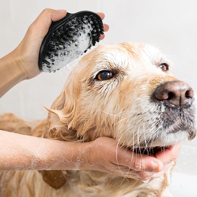 PETIMP STORE Dog Brush Kit for Grooming Short & Long Haired Dogs & Cats, 4-in-1 Pet Grooming Set with Self-Cleaning Slicker Brush, Deshedding Tool, Shampoo Bath Comb, Massge Comb (White Black)