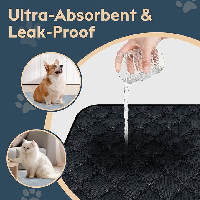 Washable Pee Pads - 2 Pack Reusable, Waterproof, Super Absorbent Dog Training Pads with Non-Slip Backing (Dark Grey, 41" X 41")