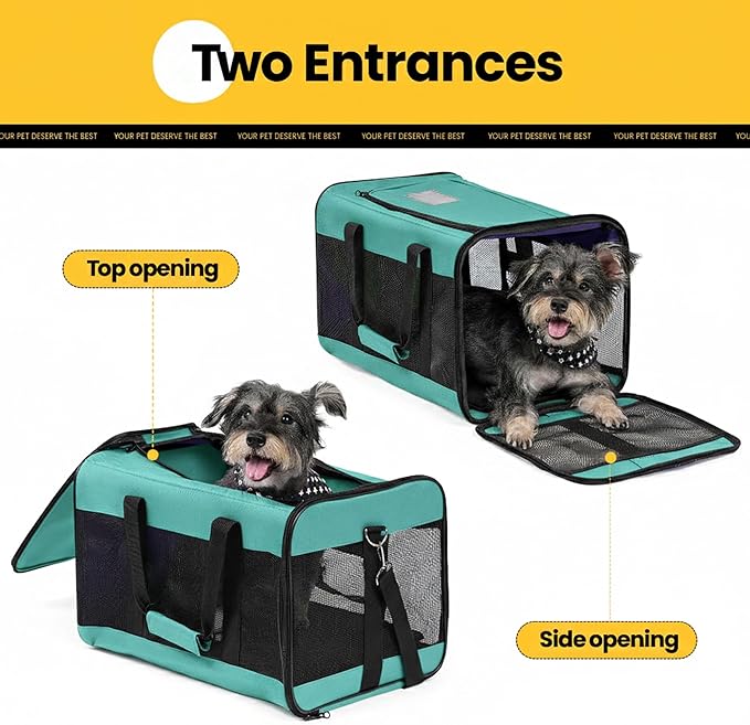 Conlun Dog Carrier Soft Sided, Large Cat Carrier with Inner Safety Leash, Pet Transport Carrier for Large Cats and Medium Dogs up to 20 Lbs, Collapsible Travel Puppy Carrier Bag -Turquoise L