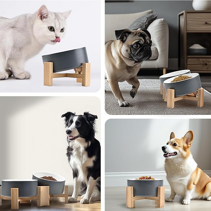 SPUNKYJUNKY 15° Slanted Ceramic Dog and Cat Bowl with Wooden Stand, Tilted Bulldog Food and Water Bowl No Slip Non-Spill for Cats Medium Dogs Big Face Pets 28.7 OZ (3.6 Cups, White-Grey × 2)