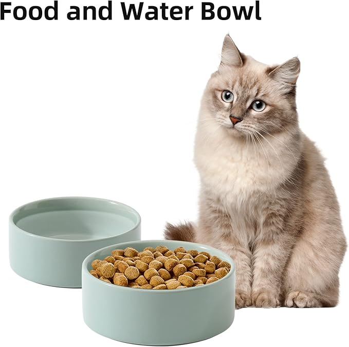 Havniva Ceramic 5.1inch Set of 2 Dog and Cat Bowls, 2pcs Anti-Slip Food and Water Feeder Dishes for Puppies, Kitties, Cats(2 Bowls, Light Green)