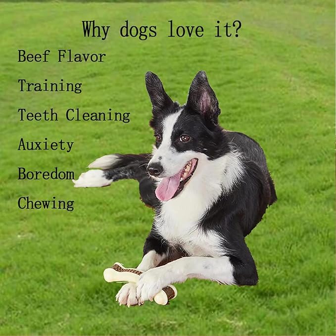 Dog Bones Chew Toys for Aggressive Chewers, 2 Pack Real Beef Flavor,Indestructible Dog Teething Chew Toys for Large/Medium/Small Puppies Breed,Tough Pet Toy with Nylon