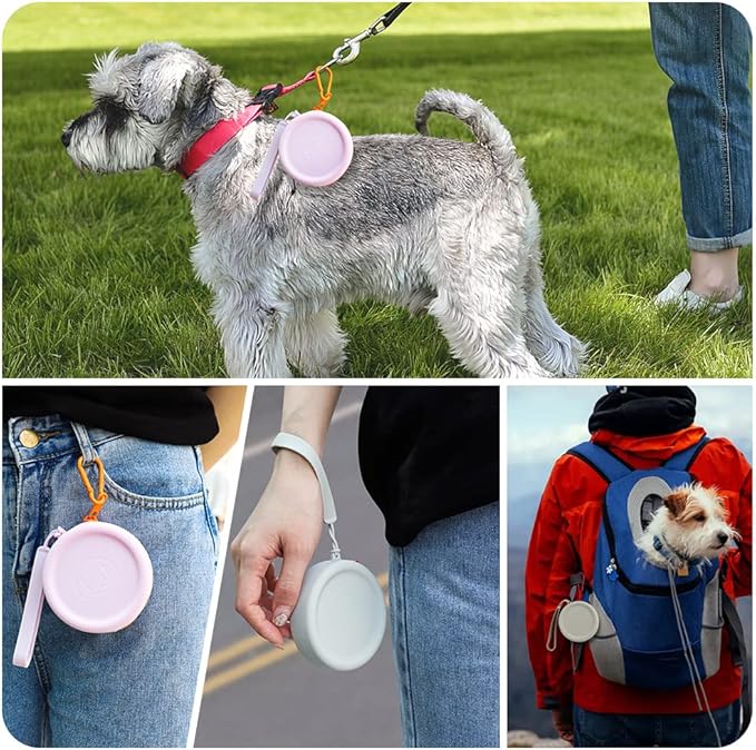 WALLFID Silicone Dog Treat Pouch Small Bag,with Pet Training Clicker,Walking Bag for Dog and Cat, Pocket Size, Easy to Clean, Odorless, Zipper Design,Moisture-Proof,Travel Walking Bag.(Light Grey)