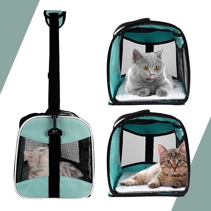 Small Animal Travel, Carrier for Hedgehog Rat Parrot Bird Guinea Pig, Lizards Carrier, Soft Sided Travel Carrier Portable Guinea Pig Up to 10 Lbs (15 * 10 * 10, Green)