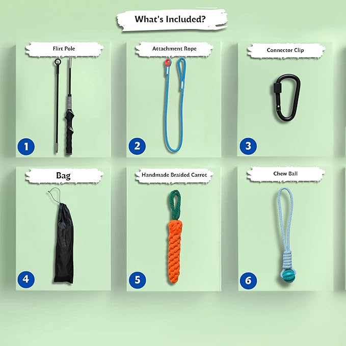 Flirt Pole for Dogs, Tether Tug Outdoor Dog Toy, Interactive Toys for Large Breed & Puppies, Agility Training Equipment, Durable Rope Toy with Chew Ball, Exercise & Training Tool