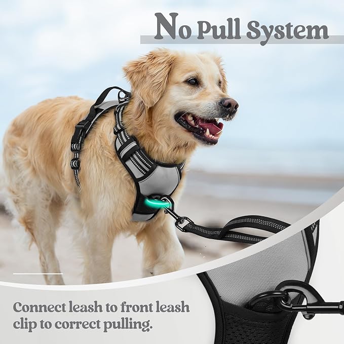 rabbitgoo Dog Harness No Pull with 2 Leash Clips, Adjustable Soft Padded, Reflective Oxford No Choke Pet Vest with Easy Control Handle for Large Dogs, Grey, XL