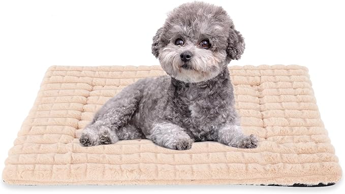 BVAGSS Dog Bed Washable Crate Mattress,Anti-Slip Memory Foam Soft Warm Pet Cushion for Small Medium Dogs, Calming Fluffy Sleeping Kennel Pad XH082 (30''x20'',Apricot)
