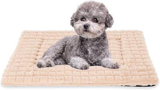 BVAGSS Dog Bed Washable Crate Mattress,Anti-Slip Memory Foam Soft Warm Pet Cushion for Small Medium Dogs, Calming Fluffy Sleeping Kennel Pad XH082 (30''x20'',Apricot)