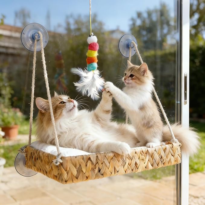 Cakhdry Cat Window Perch with Industrial-Grade Suction Cups and Ball Toy, Cat Window Hammock - 45 lbs Capacity, Handwoven Straw Sturdy Hanging Bed Seat Soft Cushion for Large Heavy Cats