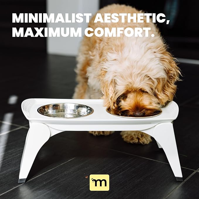 MalsiPree Elevated Dog Bowl Stand - Foldable Raised Feeding Station 6.5" - 2 Stainless Steel Bowls, Portable Non-Slip, Mess-Catching, Travel Pet Bowl Set - Dishwasher Safe, Medium & Large Breeds