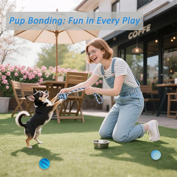 20 Pack Puppy Chew Toys for Teething & Fun (Chew Toys for Puppies 0-6 Months Bundle with Various Rubber Rings, Rope Toys and Balls for Interactive Play, Teeth Cleaning & Relief