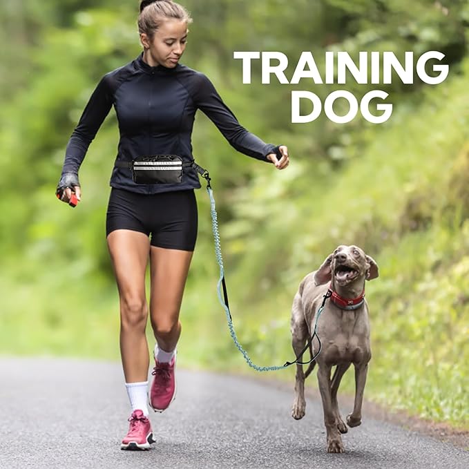 Hands Free Dog Leash with Pouch, Double Leash for Two Dogs, Retractable Bungee with Double Padded Handles, Waist for Dog Walking, Running for Dogs, Dog Walking Accessories